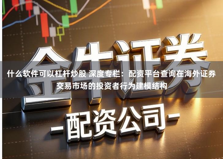 什么软件可以杠杆炒股 深度专栏：配资平台查询在海外证券交易市场的投资者行为建模结构