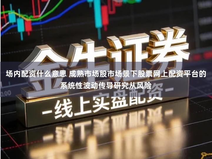 场内配资什么意思 成熟市场股市场景下股票网上配资平台的系统性波动传导研究从风险