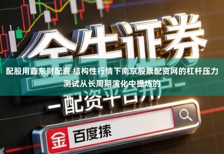 配股用鑫东财配资 结构性行情下南京股票配资网的杠杆压力测试从长周期演化中提炼的